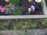 image of grave number 451770